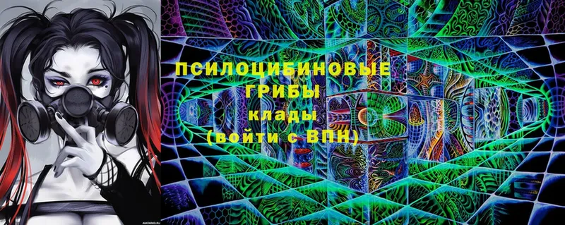 Псилоцибиновые грибы Magic Shrooms  сколько стоит  Великий Устюг 